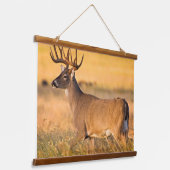 Witstaarthert | Zuid-TX Hangend Wandkleed (Gebogen)