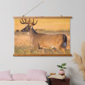 Witstaarthert | Zuid-TX Hangend Wandkleed (Slaapkamer)