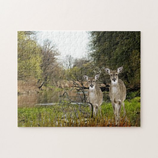 Witstaartherten in bos collagekunst legpuzzel (Horizontaal)