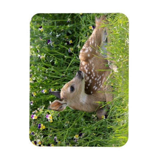 Witstaartherten (Odocoileus virginianus) Magneet (Verticaal)