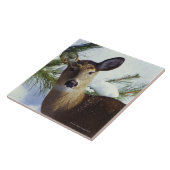 Witstaartherten (Odocoileus virginianus), Tegeltje (Zijkant)