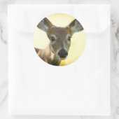 Witstaartherten Young Buck Ronde Sticker (Tas)