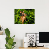 Witstaarthertenkalf | Minnesota Poster (Thuiskantoor)