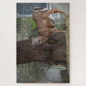 Witstaartje Deer op het kerkhof Legpuzzel (Verticaal)