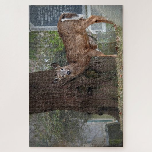 Witstaartje Deer op het kerkhof Legpuzzel (Verticaal)