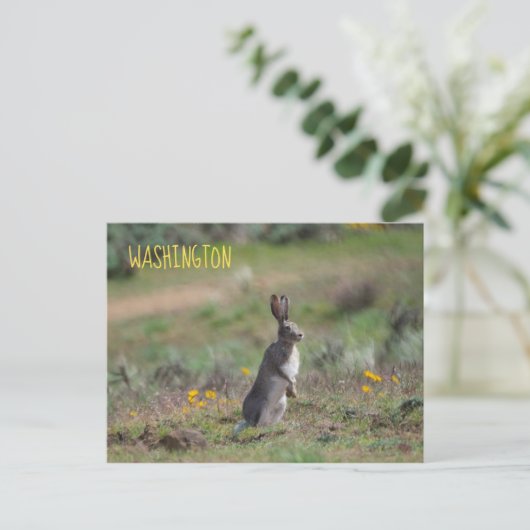 witstaartkonijn briefkaart (Staand voorkant)