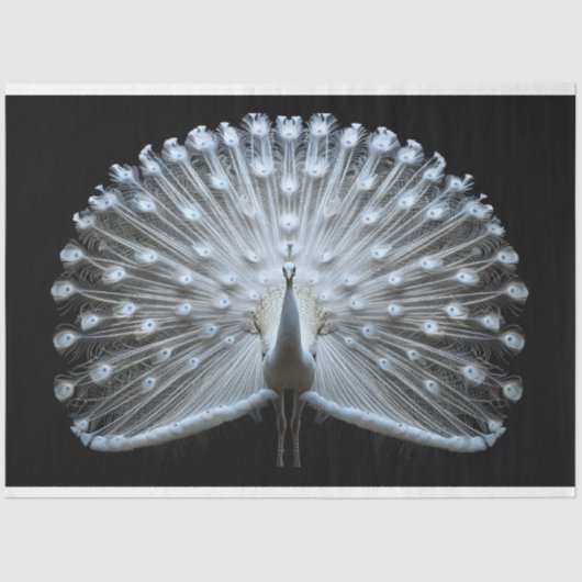 Witstaartpauw Decoage Tissuepapier (Voorkant)