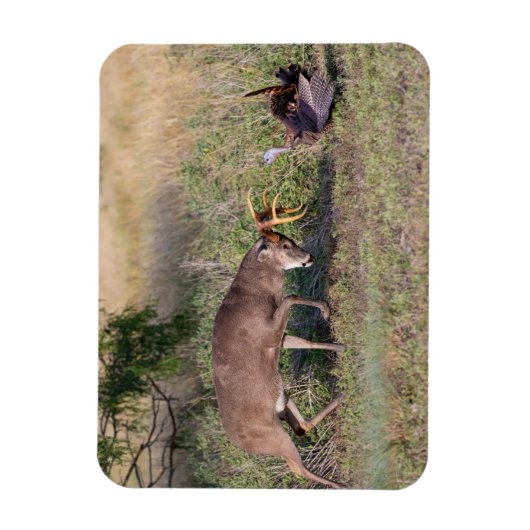Witstaartslang vecht tegen Wilde Turkije Magneet (Verticaal)