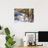Witstaartster die naar je kijkt poster (Thuiskantoor)