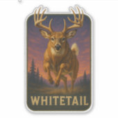 Witstaartsticker Sticker (Voorkant)