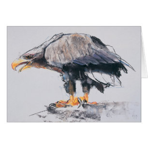 WitstaartZee Eagle 2001