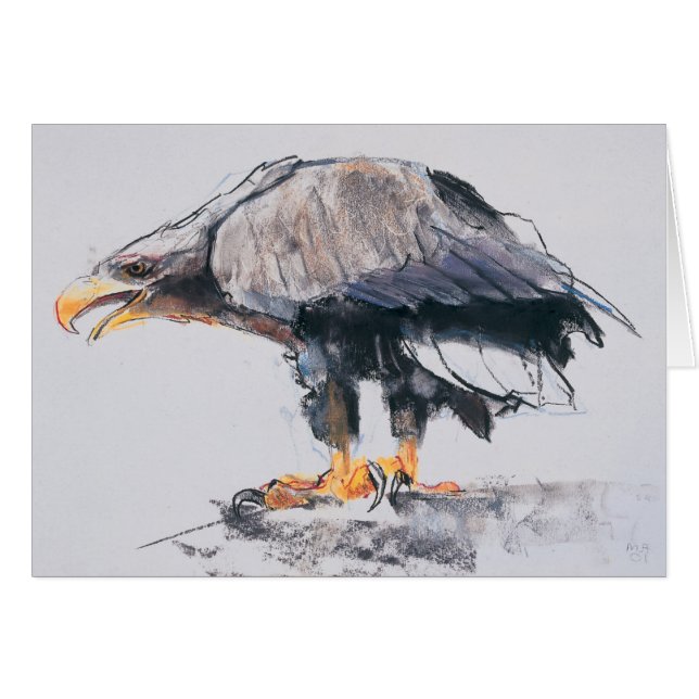 WitstaartZee Eagle 2001 (Voorkant Horizontaal)