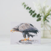 WitstaartZee Eagle 2001 Briefkaart (Staand voorkant)