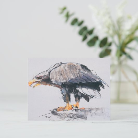 WitstaartZee Eagle 2001 Briefkaart (Staand voorkant)