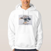 WitstaartZee Eagle 2001 Hoodie (Voorkant)