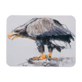 WitstaartZee Eagle 2001 Magneet (Horizontaal)