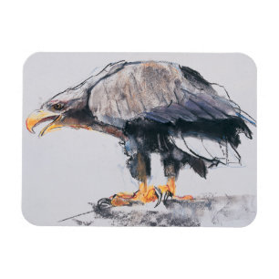 WitstaartZee Eagle 2001 Magneet
