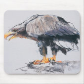 WitstaartZee Eagle 2001 Muismat (Voorkant)