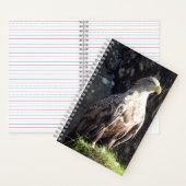 Witstaartzeearend Kustrots Wilde Dieren Notitieboek (Binnen)
