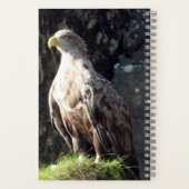 Witstaartzeearend Kustrots Wilde Dieren Notitieboek (Achterkant)