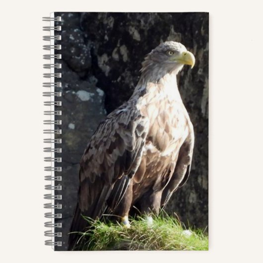 Witstaartzeearend Kustrots Wilde Dieren Notitieboek (Voorkant)