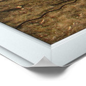 Witte 3-pins venster Verlichtingsland in herfst Poster (Hoek)