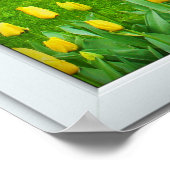 Witte 3-puit-vensterillusie Lenttuin Poster (Hoek)