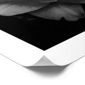 Witte aanjager op zwarte achtergrond poster (Hoek)