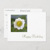 witte aardbei - bloem - verjaardag briefkaart (Voorkant / Achterkant)