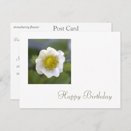 witte aardbei - bloem - verjaardag briefkaart (Voorkant / Achterkant)