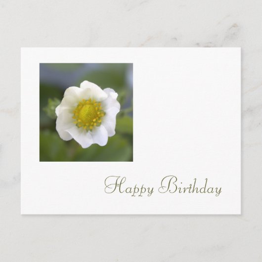 witte aardbei - bloem - verjaardag briefkaart (Voorkant)