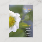  witte aardbeibloem visitekaartjes. visitekaartje (Achterkant)
