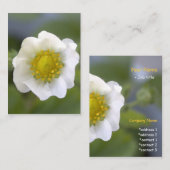 witte aardbeibloem visitekaartjes. visitekaartje (Voorkant / Achterkant)