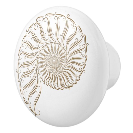 Witte achtergrond strand shell lade knoppen (Rechts)