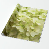 Witte achtergrond van hydrangeenbloem cadeaupapier (Uitgerold)