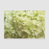 Witte achtergrond van hydrangeenbloem tissuepapier (Voorkant)