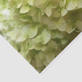 Witte achtergrond van hydrangeenbloem tissuepapier (Detail)