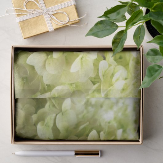 Witte achtergrond van hydrangeenbloem tissuepapier (Geschenk)