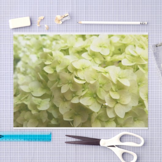 Witte achtergrond van hydrangeenbloem tissuepapier (Craft)