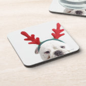 witte achtergrond, witte stierenhond, rood drankjes onderzetter (Linkerzijde)