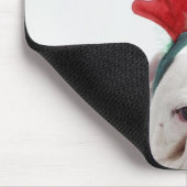 witte achtergrond, witte stierenhond, rood muismat (Hoek)