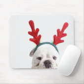 witte achtergrond, witte stierenhond, rood muismat (Met muis)