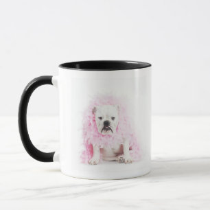 witte achtergrond, witte stierenhond, roze veer mok