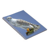Witte adelaar notitieboek (Rechterzijde)