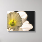 Witte affodilerkloer met achtergrondverlichting canvas afdruk (Voorkant)