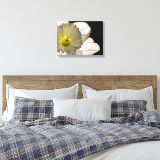 Witte affodilerkloer met achtergrondverlichting canvas afdruk (Insitu (Slaapkamer))