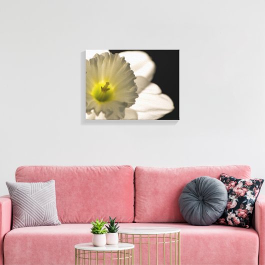 Witte affodilerkloer met achtergrondverlichting canvas afdruk (Insitu (Woonkamer))