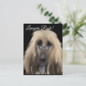 Witte Afghaanse windhond Briefkaart (Staand voorkant)