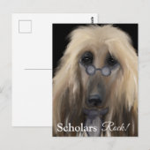 Witte Afghaanse windhond Briefkaart (Voorkant / Achterkant)