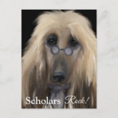 Witte Afghaanse windhond Briefkaart (Voorkant)